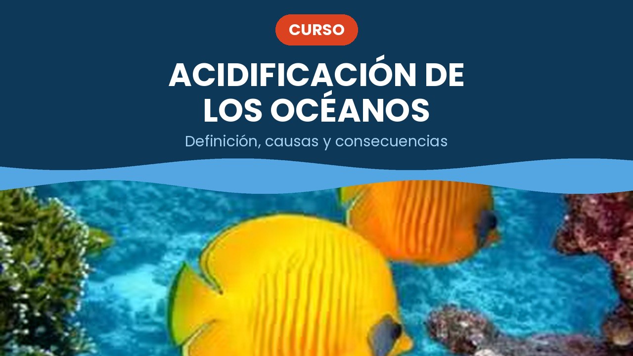 Acidificación de los océanos – curso