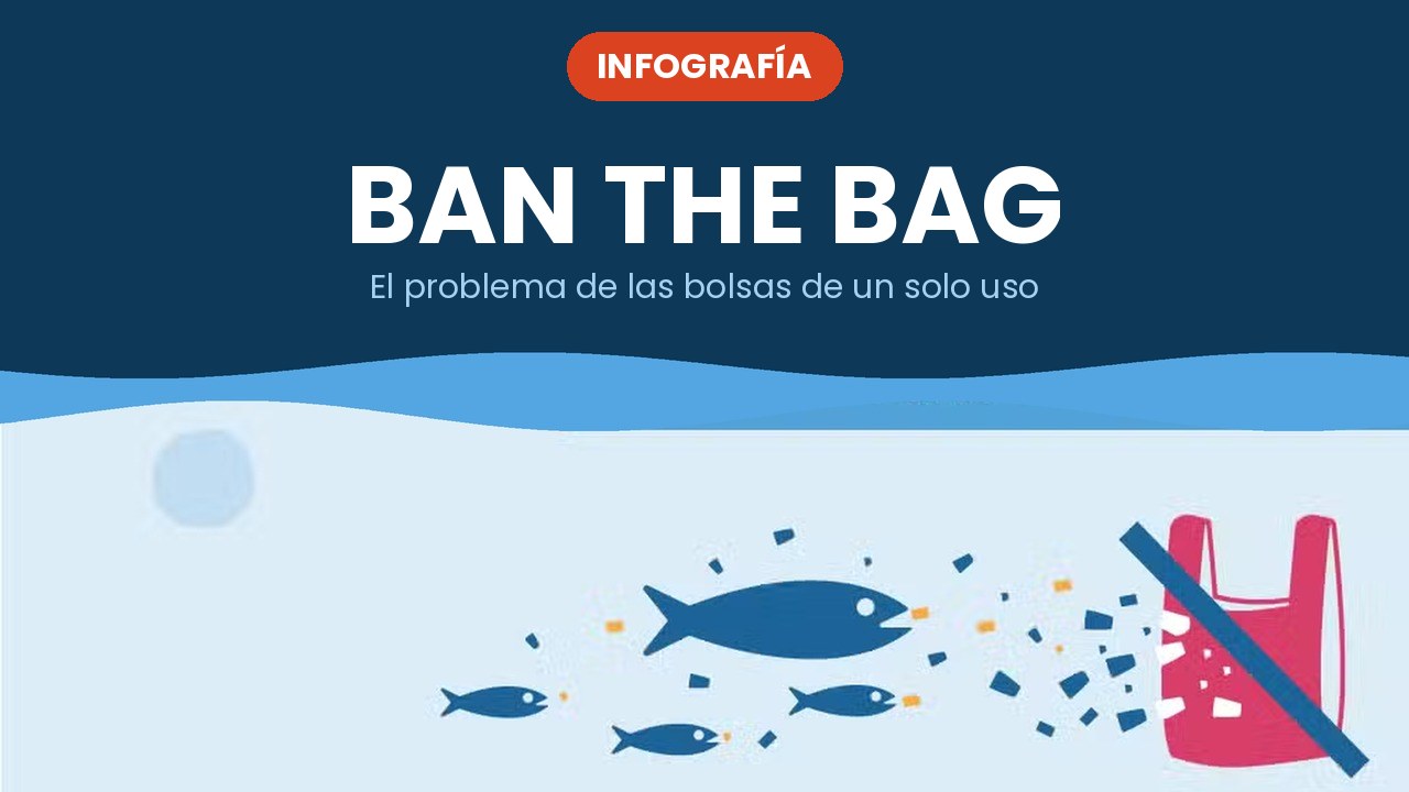 Ban the Bag – infografía