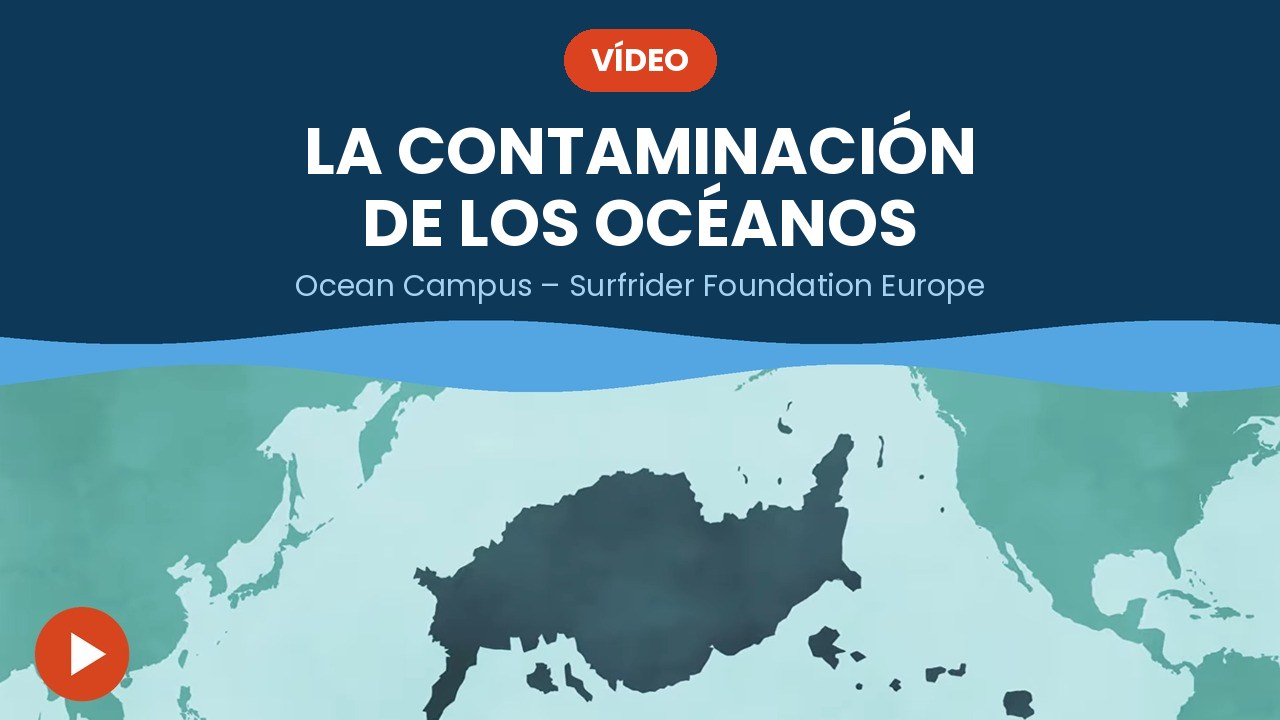 La contaminación de los océanos – vídeo