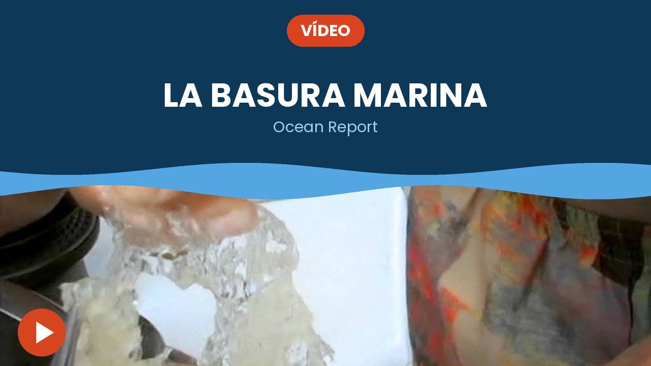 La basura marina – vídeo