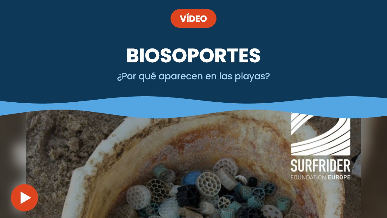 Biosoportes – vídeo