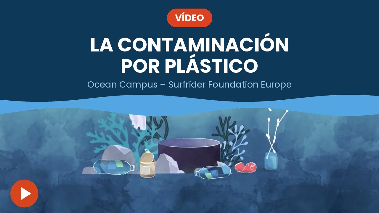 La contaminación por plástico – vídeo