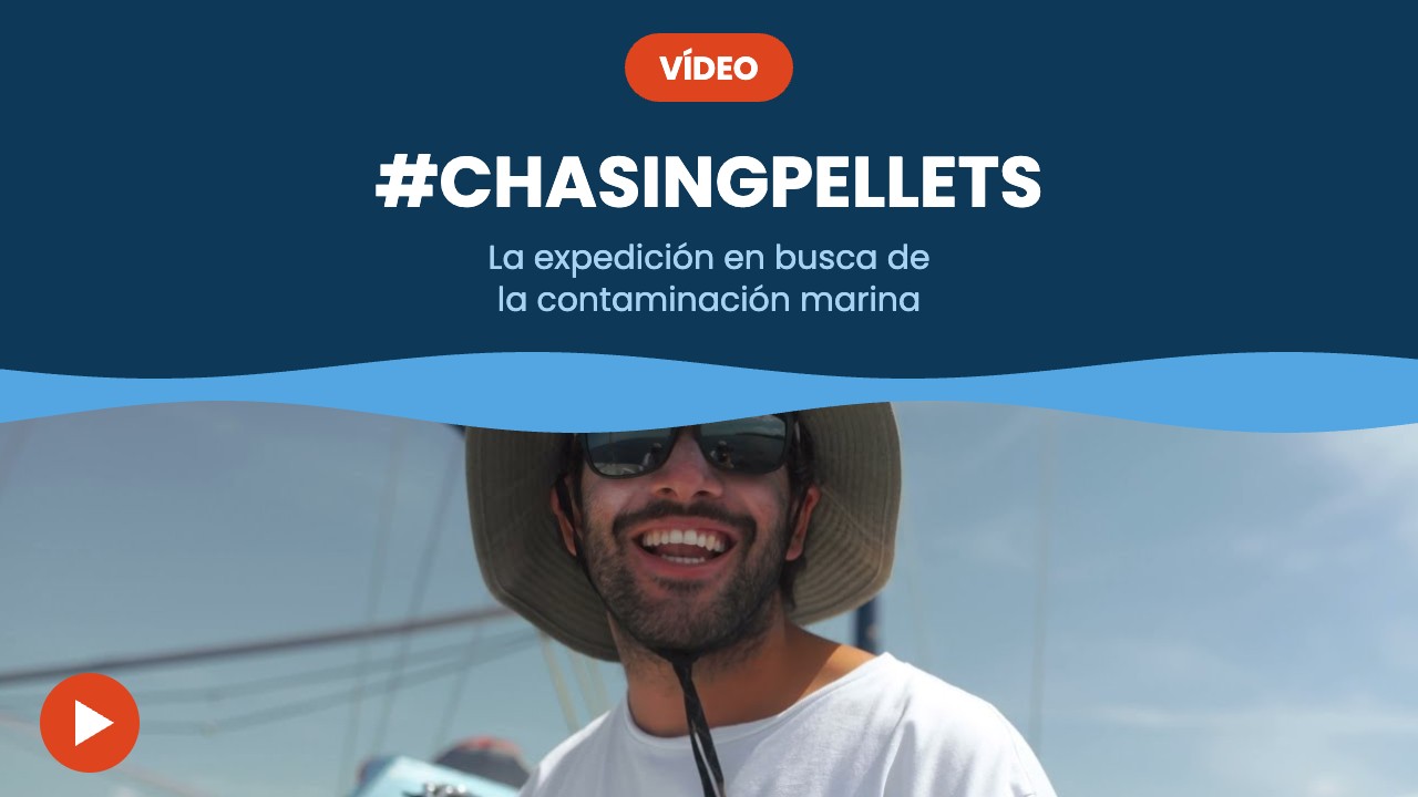 #ChasingPellets – vídeo