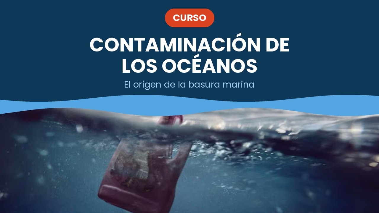 Contaminación de los océanos – curso