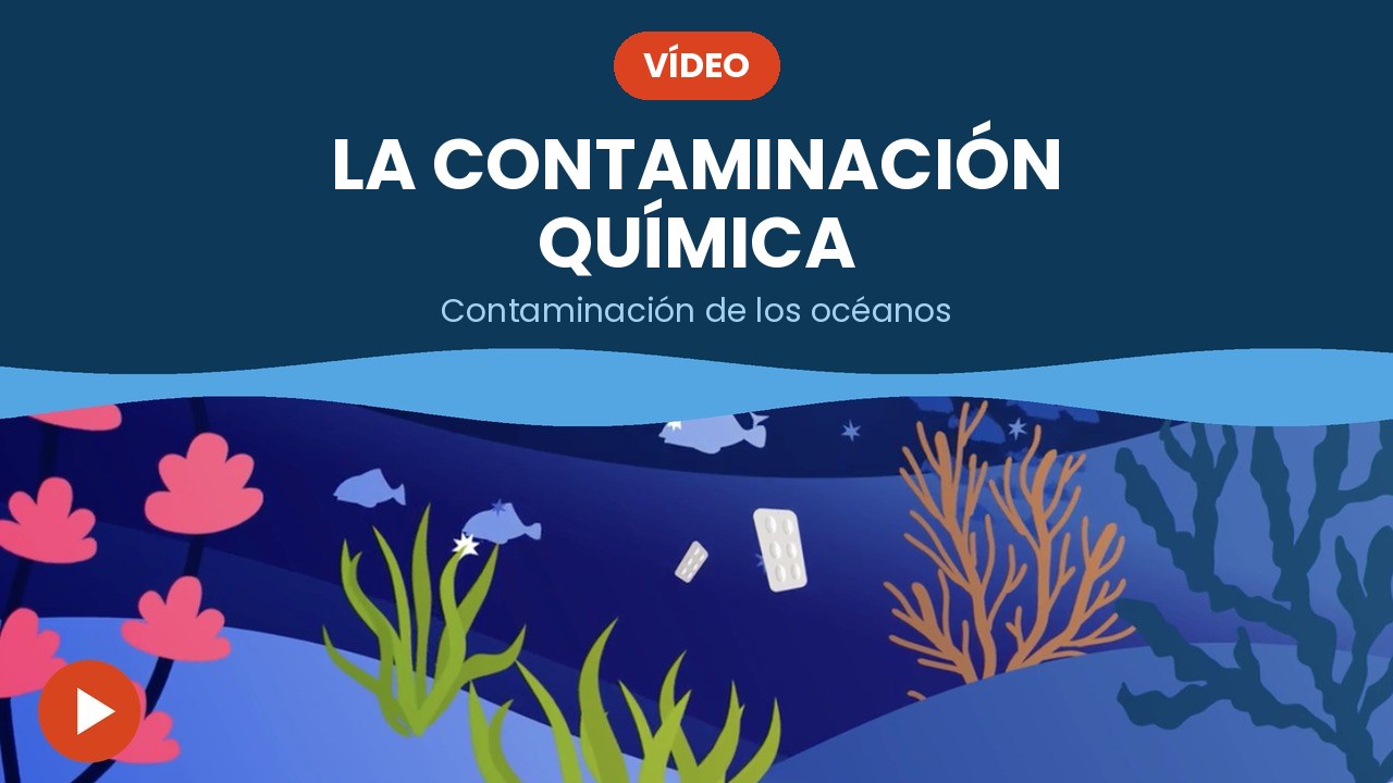 La contaminación química – vídeo