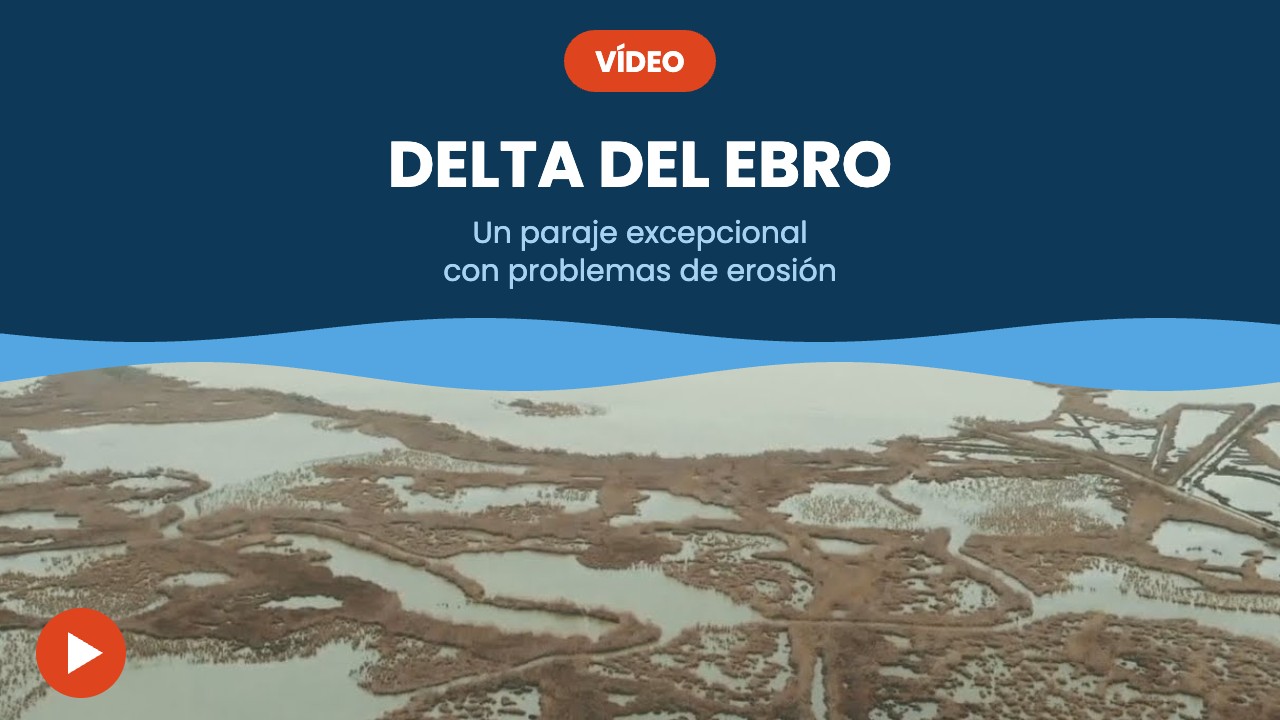 Delta del Ebro – vídeo