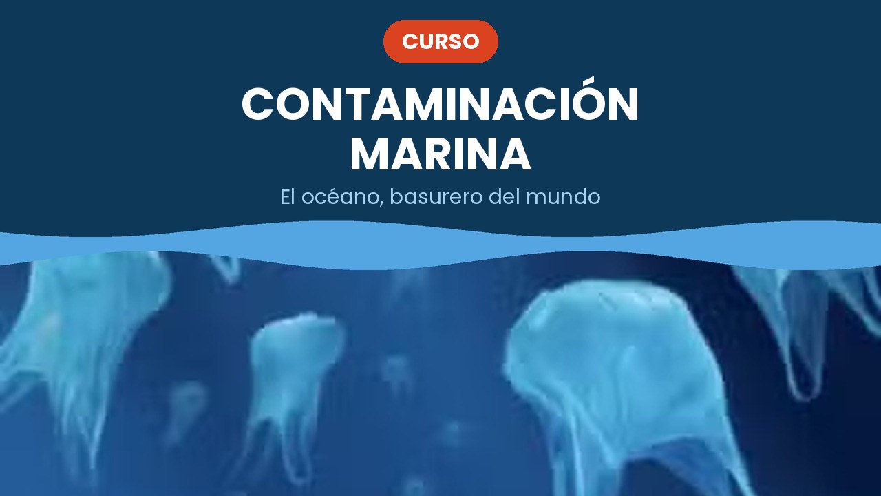 Contaminación marina – curso