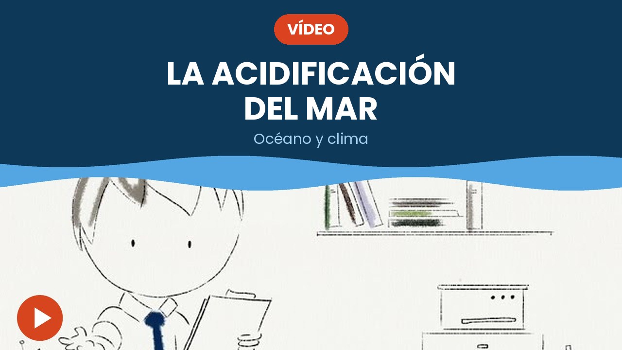 La acidificación del mar – vídeo