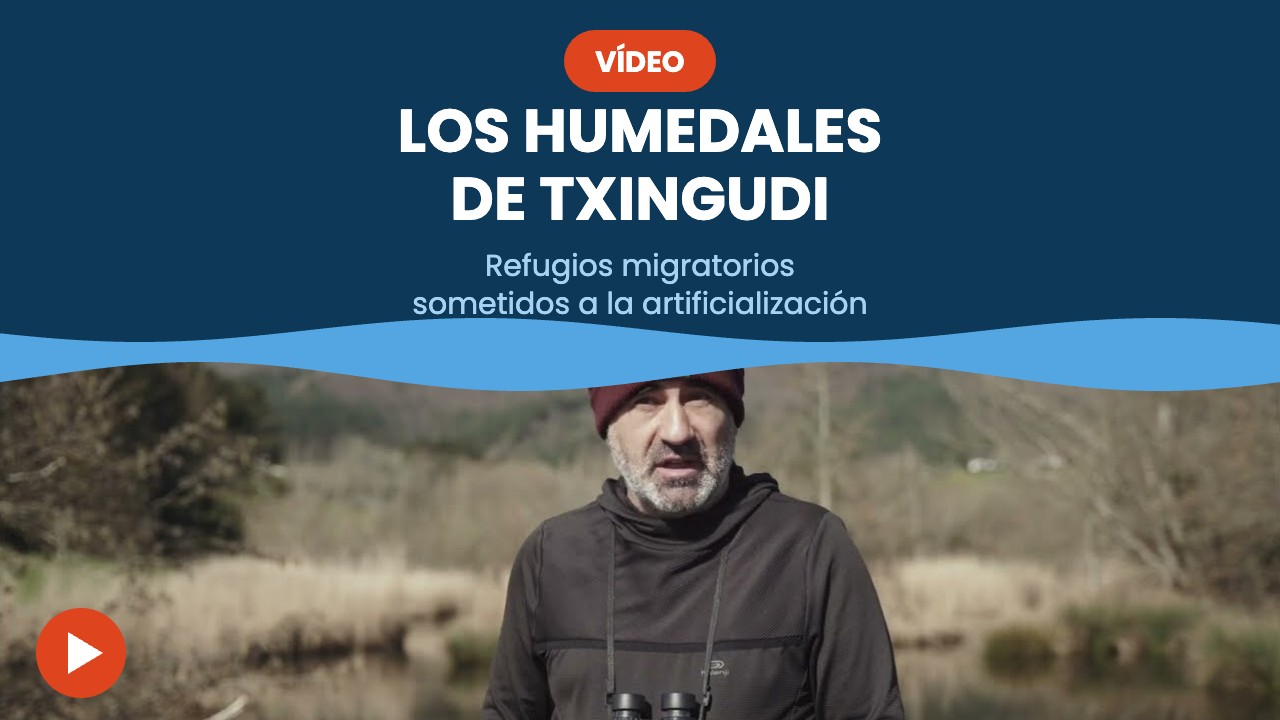 Los humedales de Txingudi – vídeo