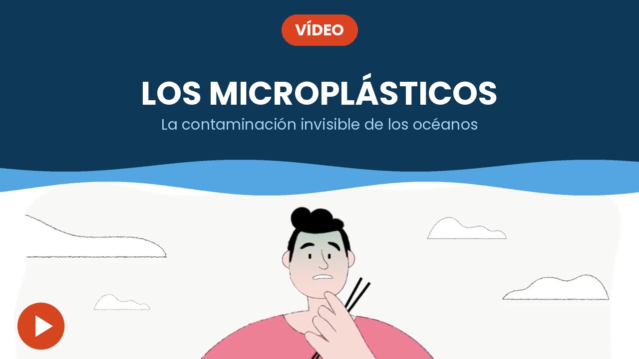Los microplásticos – vídeo