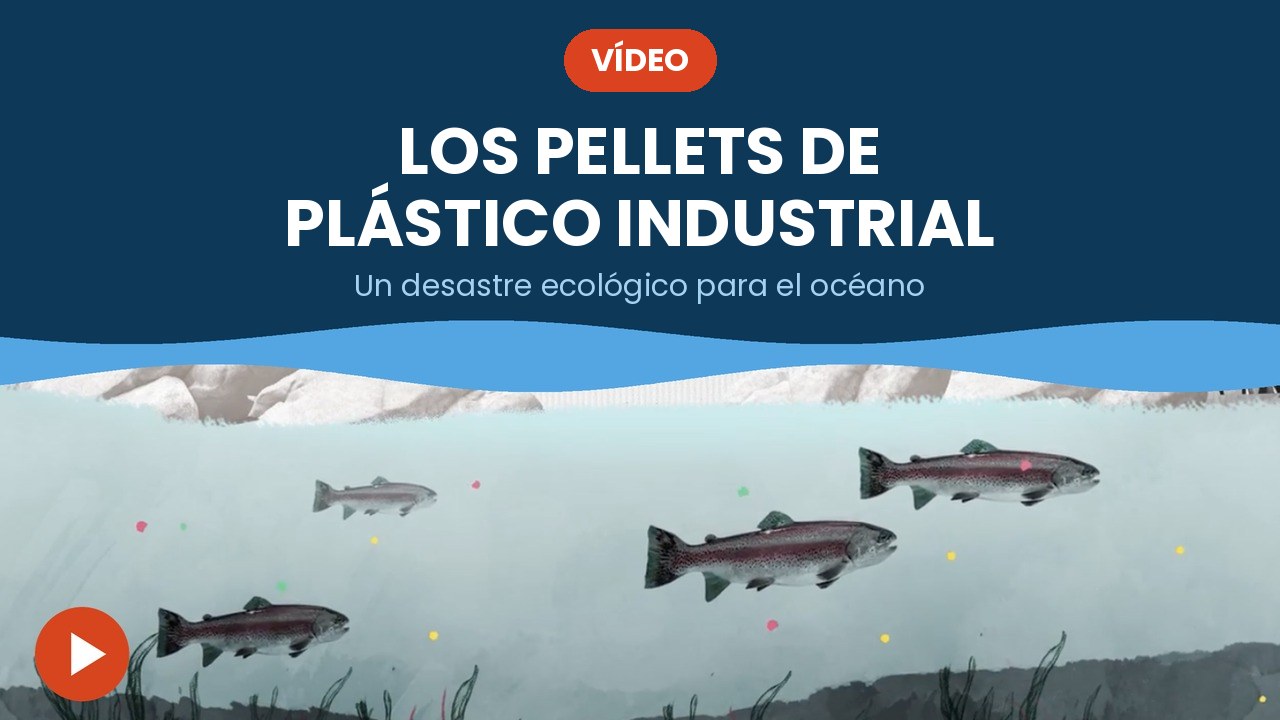 Los pellets de plástico industrial – vídeo