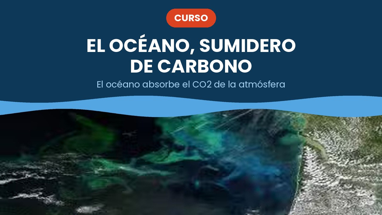 El océano, sumidero de carbono – curso